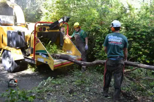 tree services Tiburon